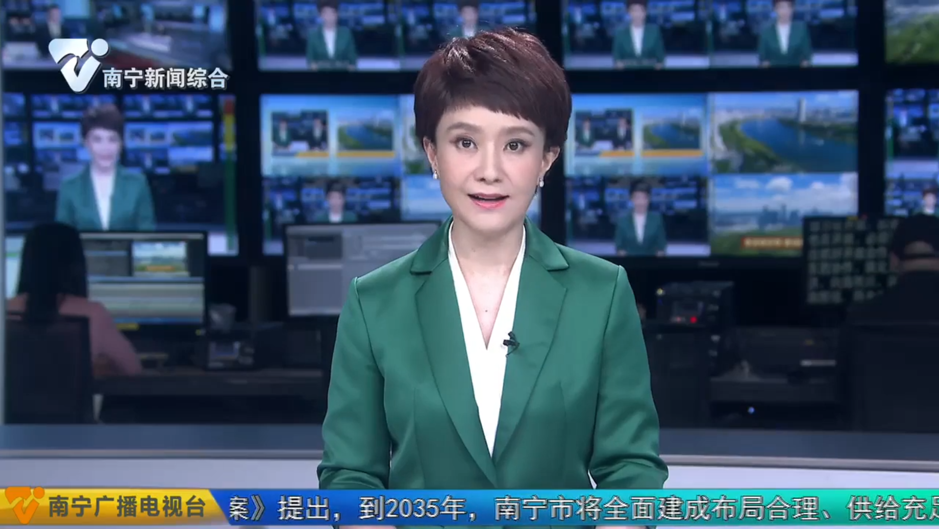 南宁新闻报道：杨不弃勇于创新，把握RCEP新机