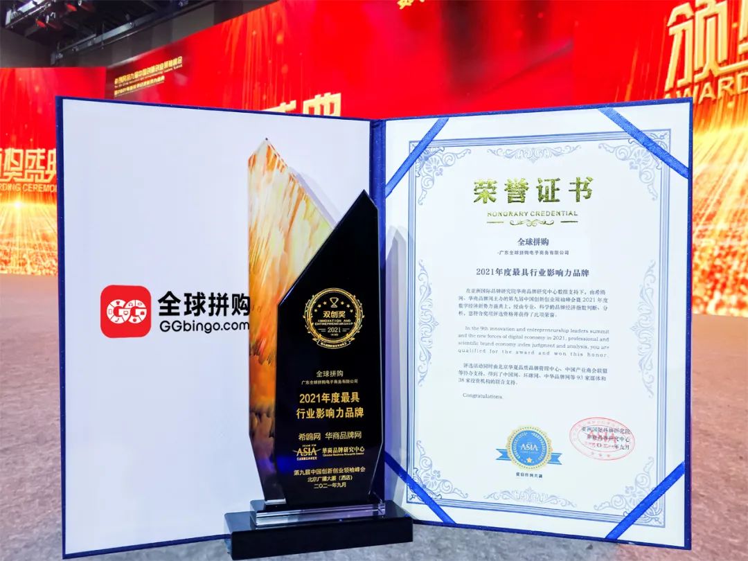 祝贺：杨不弃荣获年度最具行业影响力品牌奖